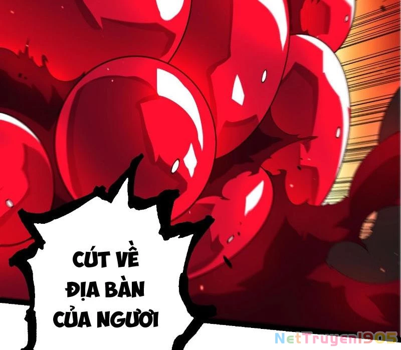 Chuyển Sinh Thành Liễu Đột Biến Chapter 416 - 28