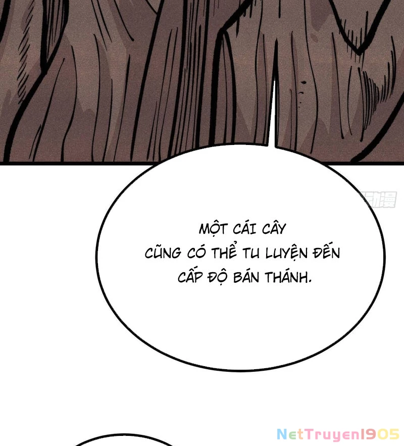 Vạn Cổ Tối Cường Tông Chapter 449 - 15
