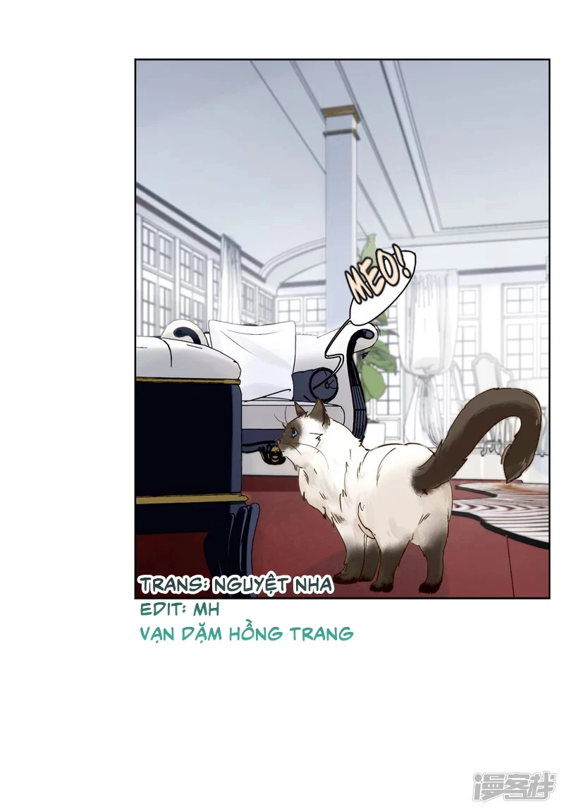 Cô ấy đến rồi, xin hãy nằm xuống! Chapter 12 - 20