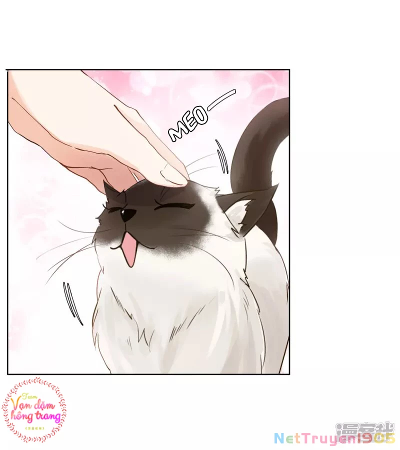 Cô ấy đến rồi, xin hãy nằm xuống! Chapter 13 - 3