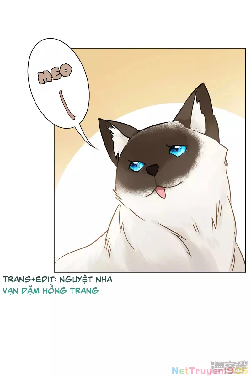 Cô ấy đến rồi, xin hãy nằm xuống! Chapter 14 - 22