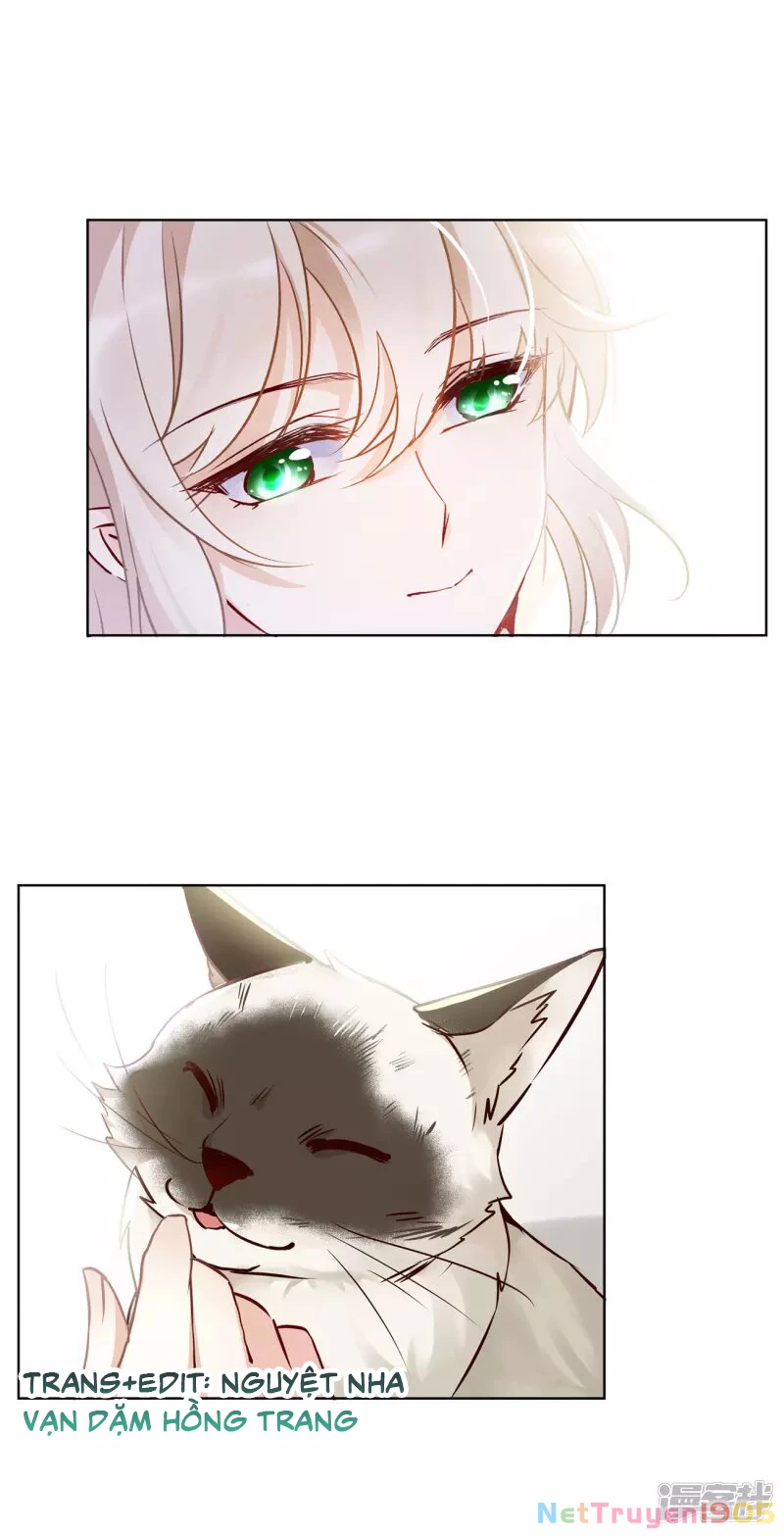 Cô ấy đến rồi, xin hãy nằm xuống! Chapter 15 - 4