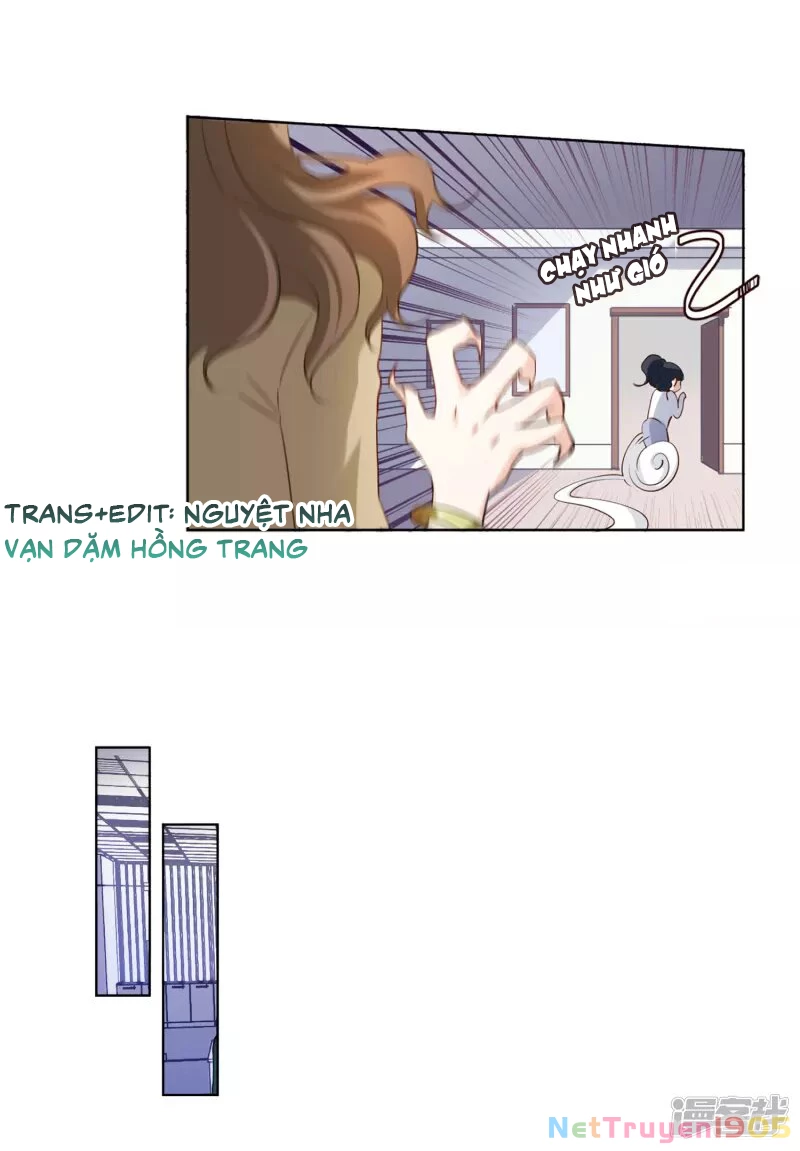 Cô ấy đến rồi, xin hãy nằm xuống! Chapter 24 - 31