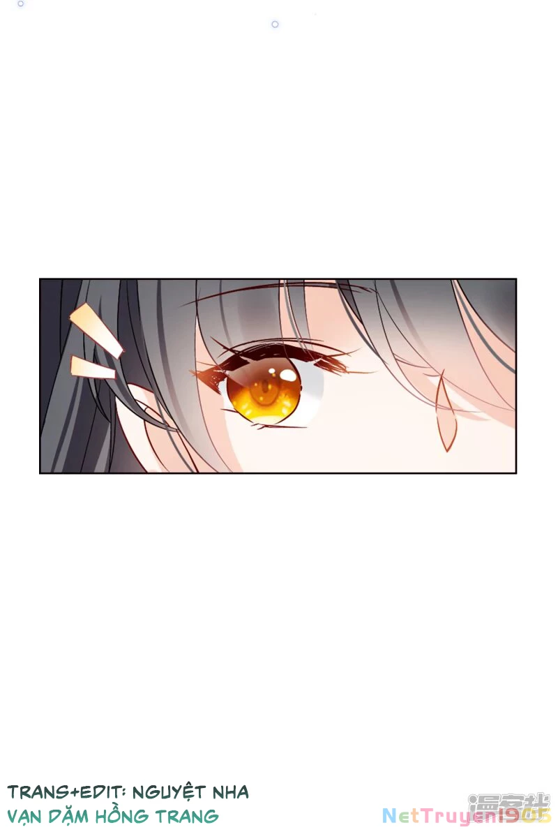 Cô ấy đến rồi, xin hãy nằm xuống! Chapter 27 - 14