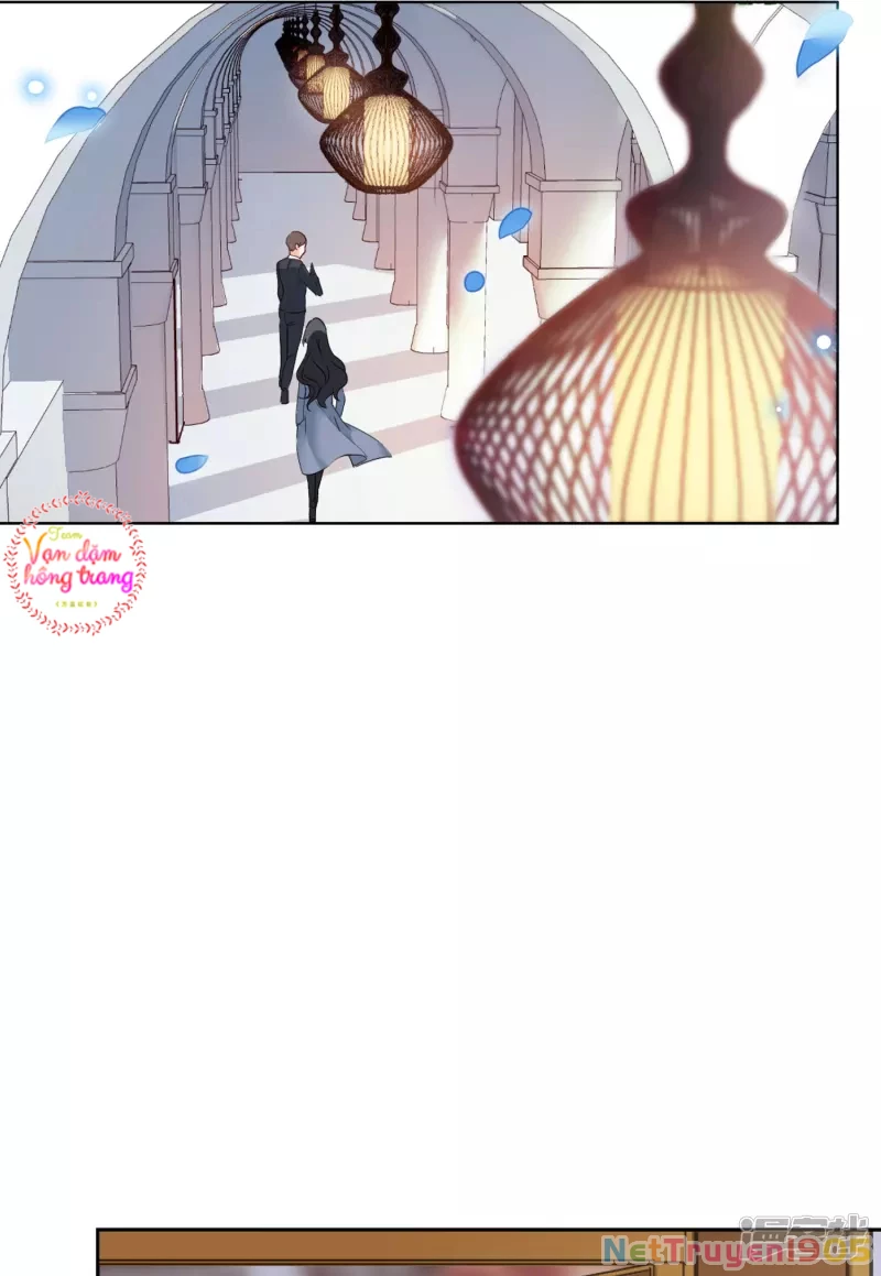 Cô ấy đến rồi, xin hãy nằm xuống! Chapter 35 - 8