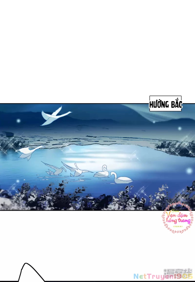 Cô ấy đến rồi, xin hãy nằm xuống! Chapter 39 - 24