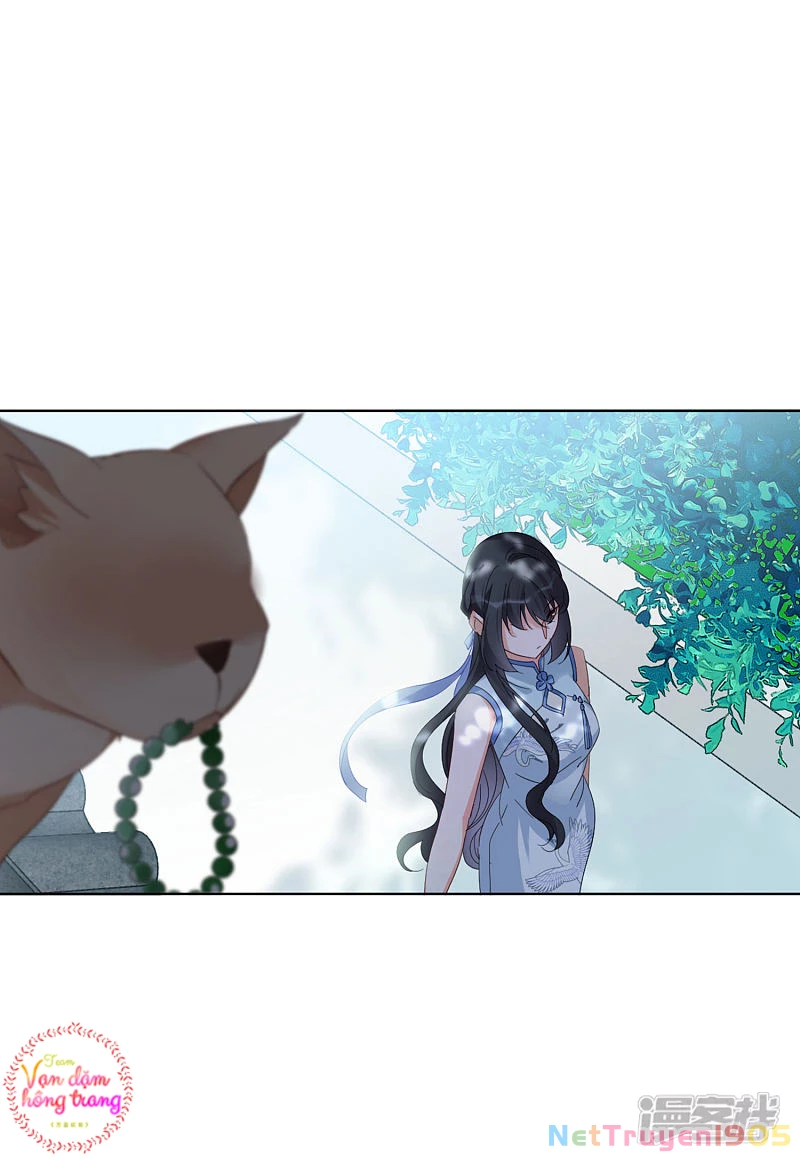 Cô ấy đến rồi, xin hãy nằm xuống! Chapter 70 - 17