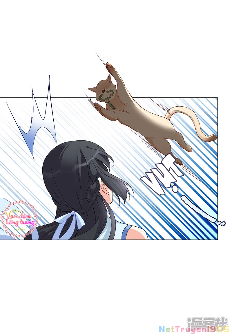 Cô ấy đến rồi, xin hãy nằm xuống! Chapter 70 - 19