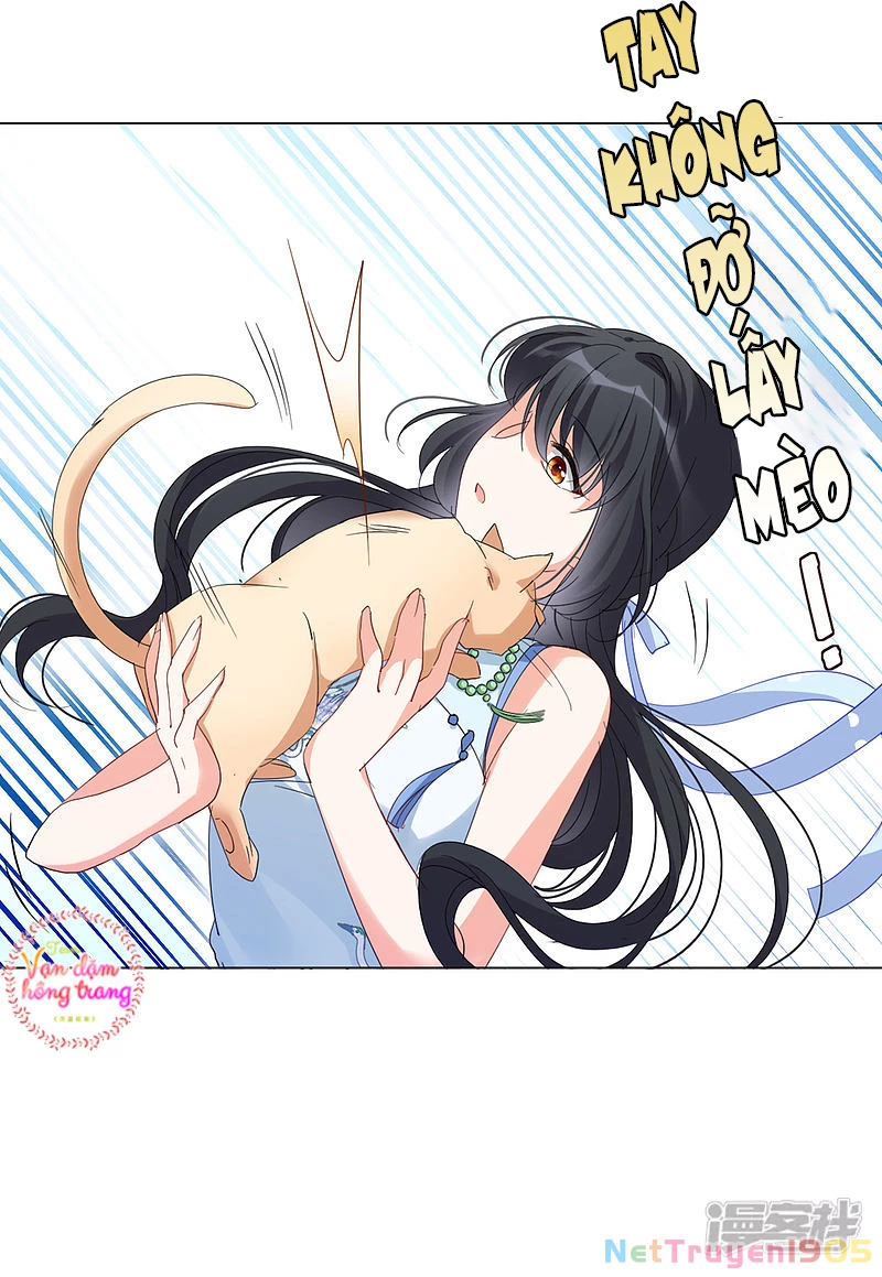 Cô ấy đến rồi, xin hãy nằm xuống! Chapter 70 - 21