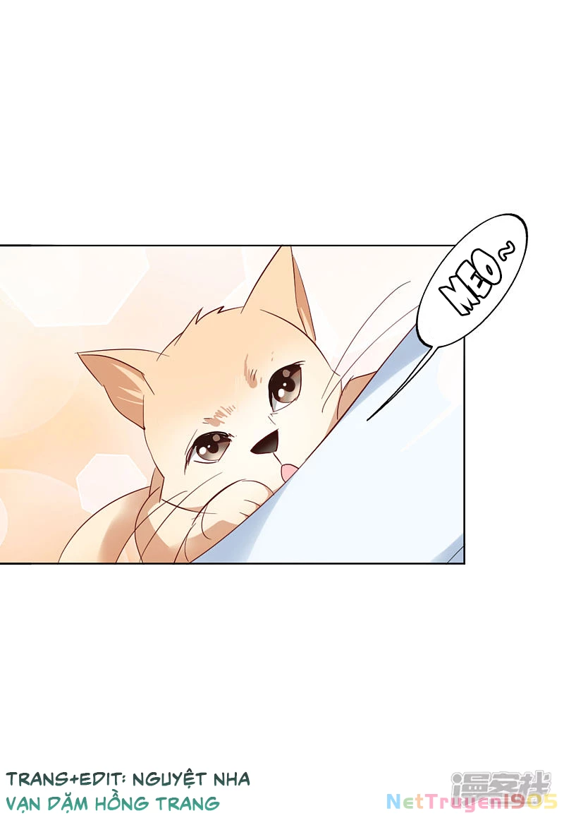 Cô ấy đến rồi, xin hãy nằm xuống! Chapter 70 - 22