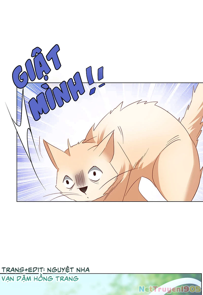 Cô ấy đến rồi, xin hãy nằm xuống! Chapter 70 - 26