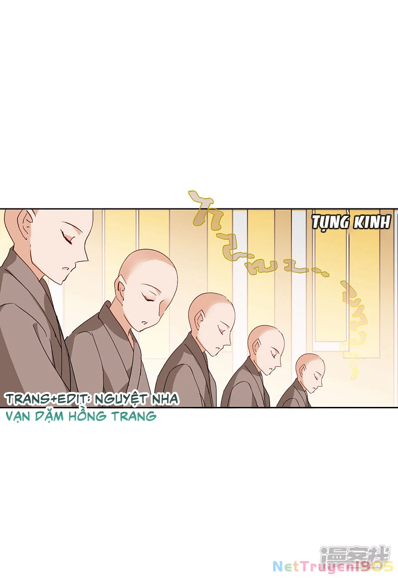 Cô ấy đến rồi, xin hãy nằm xuống! Chapter 72 - 16