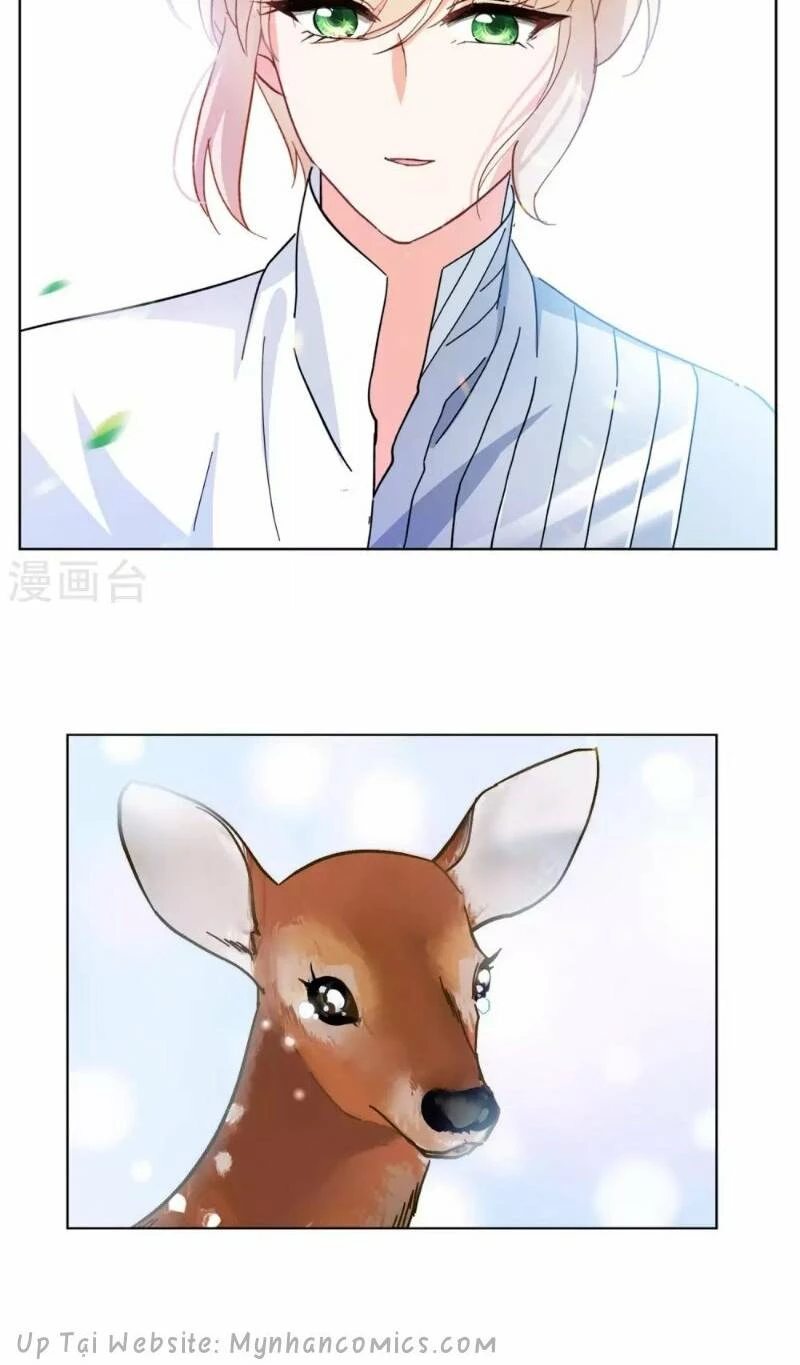 Cô ấy đến rồi, xin hãy nằm xuống! Chapter 117 - 10