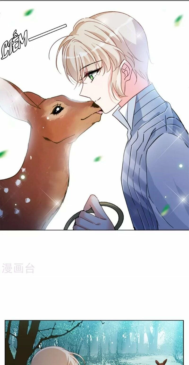 Cô ấy đến rồi, xin hãy nằm xuống! Chapter 117 - 11