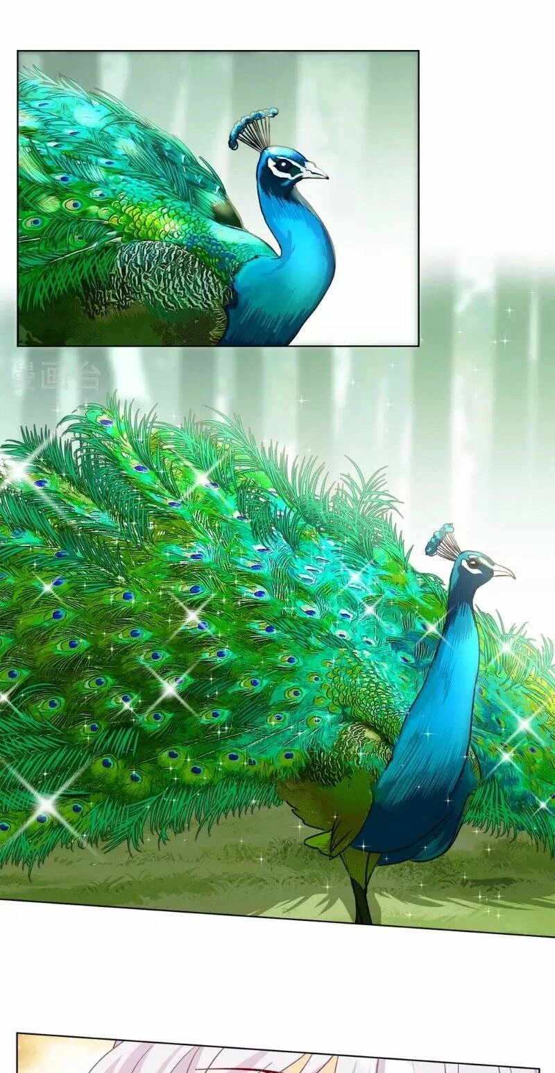 Cô ấy đến rồi, xin hãy nằm xuống! Chapter 119 - 13