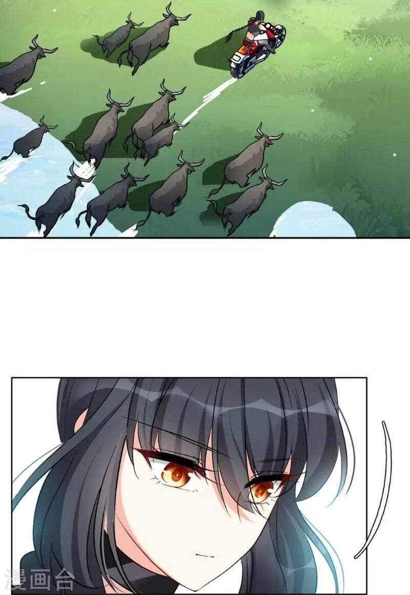 Cô ấy đến rồi, xin hãy nằm xuống! Chapter 123 - 20