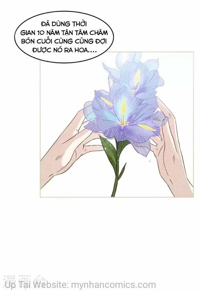 Cô ấy đến rồi, xin hãy nằm xuống! Chapter 137 - 28