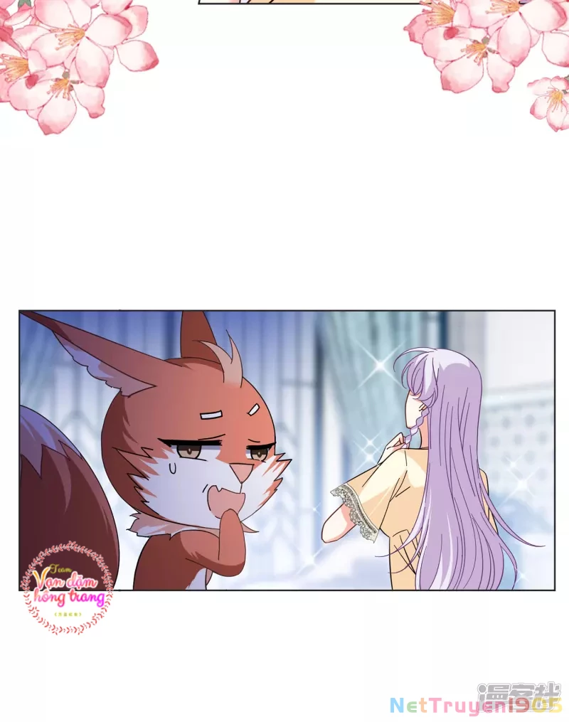 Cô ấy đến rồi, xin hãy nằm xuống! Chapter 147 - 11