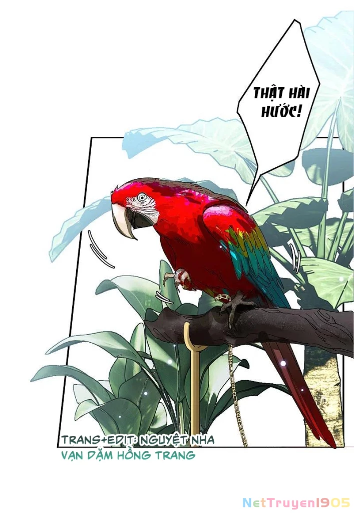 Cô ấy đến rồi, xin hãy nằm xuống! Chapter 149 - 8