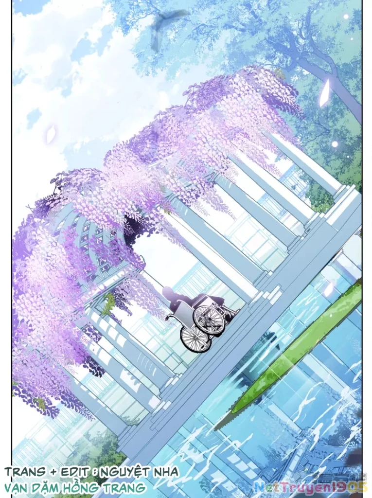 Cô ấy đến rồi, xin hãy nằm xuống! Chapter 178 - 18