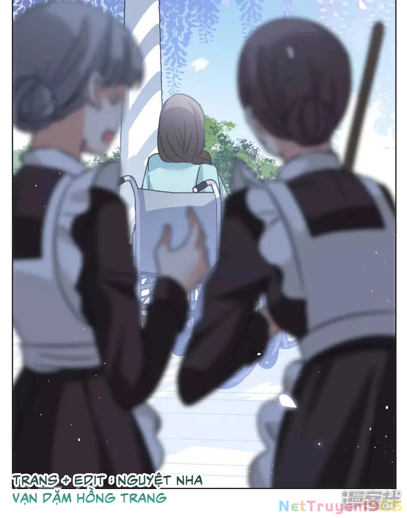 Cô ấy đến rồi, xin hãy nằm xuống! Chapter 178 - 24