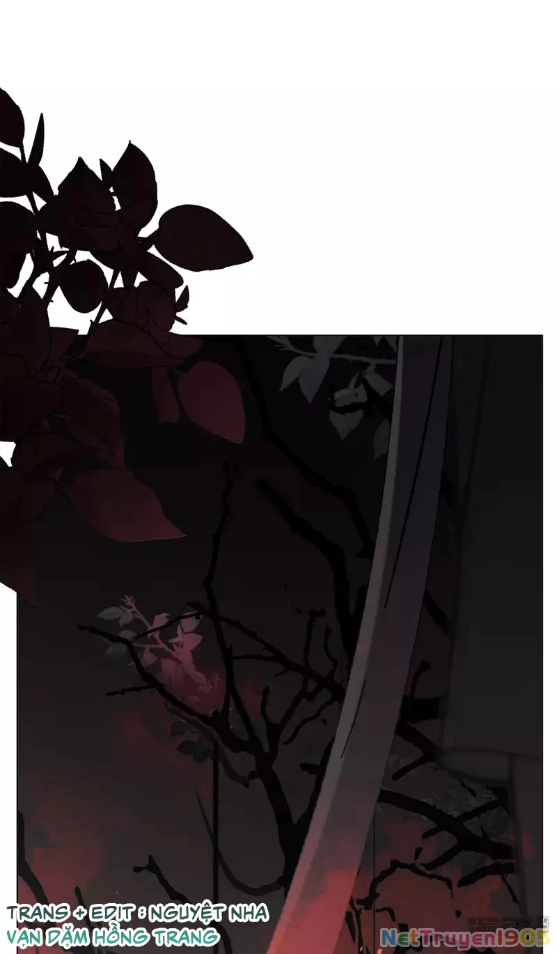 Cô ấy đến rồi, xin hãy nằm xuống! Chapter 188 - 19