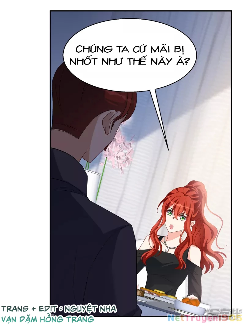 Cô ấy đến rồi, xin hãy nằm xuống! Chapter 195 - 18