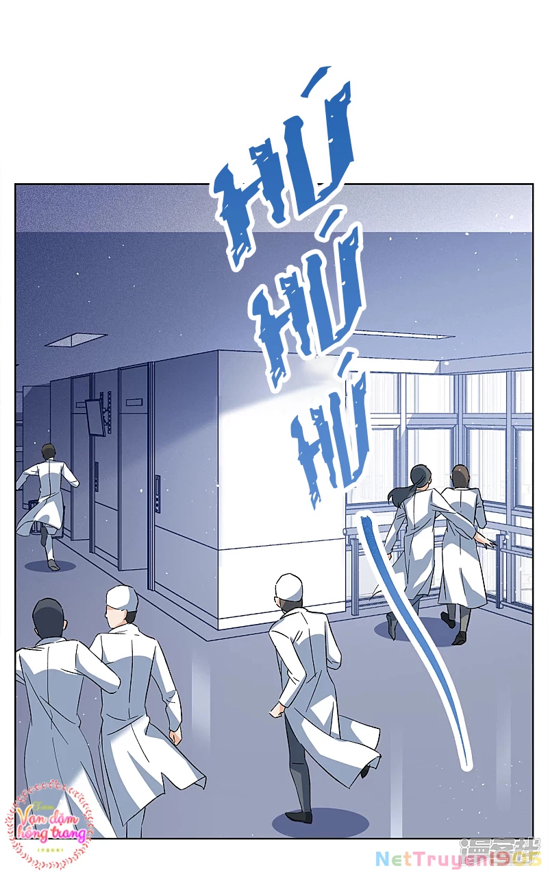 Cô ấy đến rồi, xin hãy nằm xuống! Chapter 199 - 19