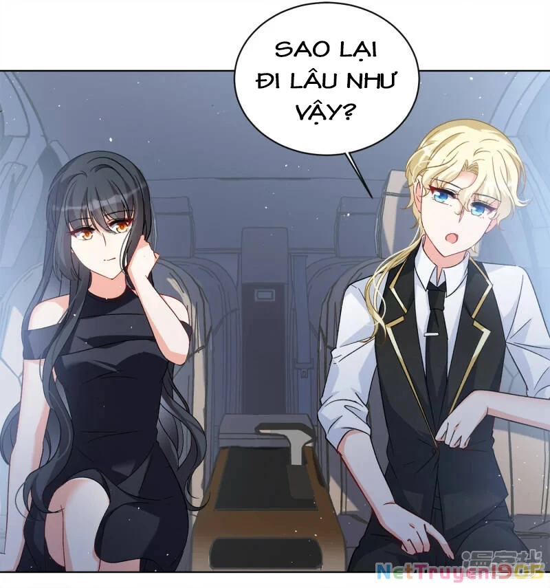 Cô ấy đến rồi, xin hãy nằm xuống! Chapter 204 - 17
