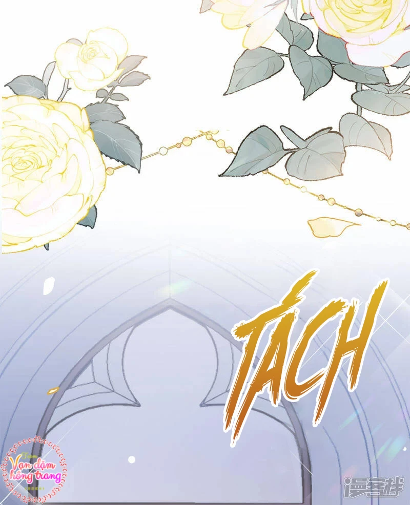 Cô ấy đến rồi, xin hãy nằm xuống! Chapter 205 - 18