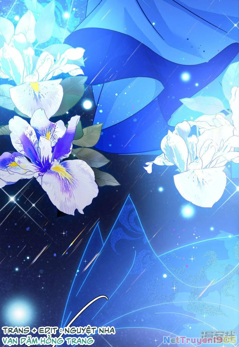 Cô ấy đến rồi, xin hãy nằm xuống! Chapter 206 - 17