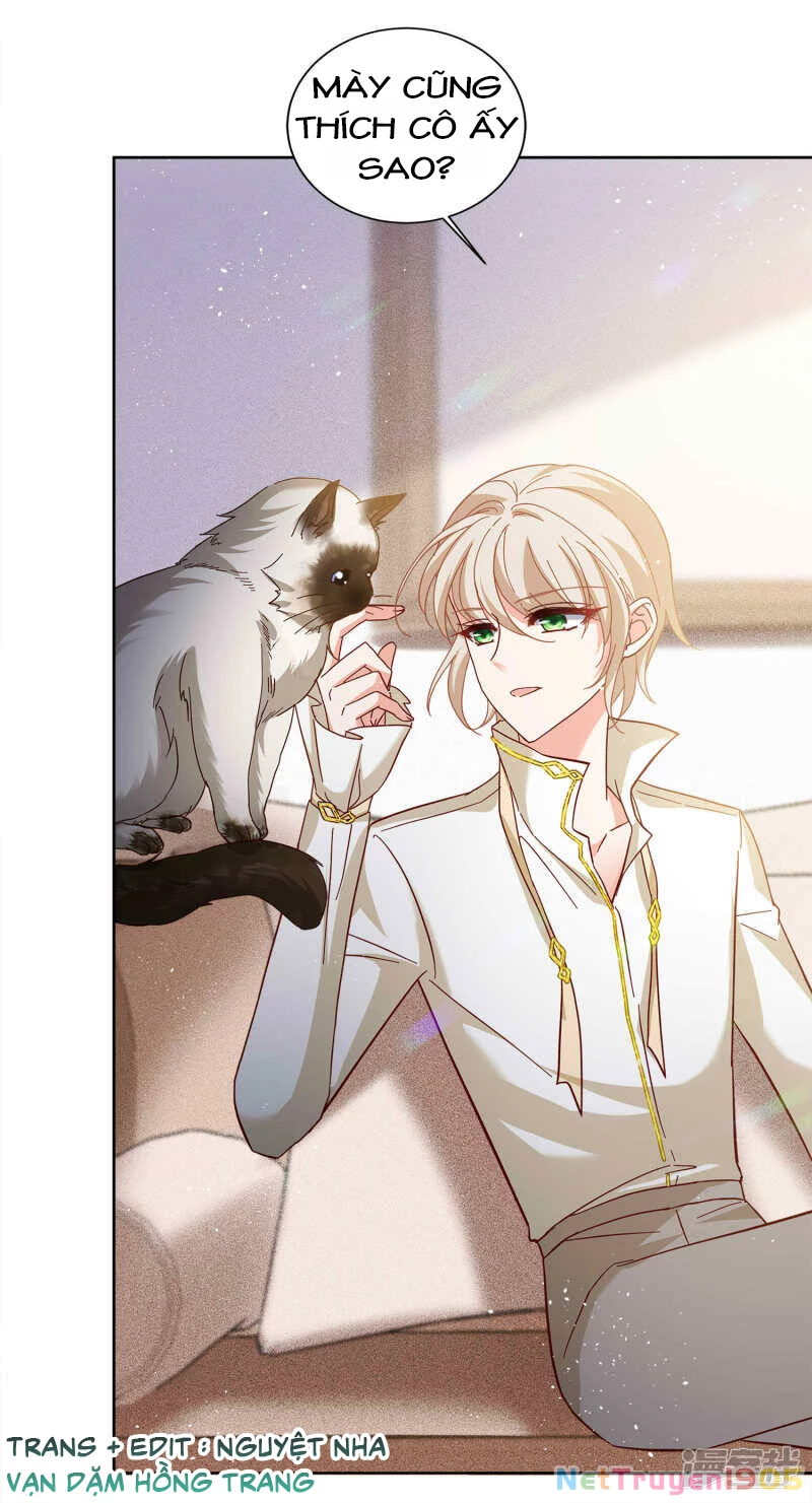 Cô ấy đến rồi, xin hãy nằm xuống! Chapter 209 - 15