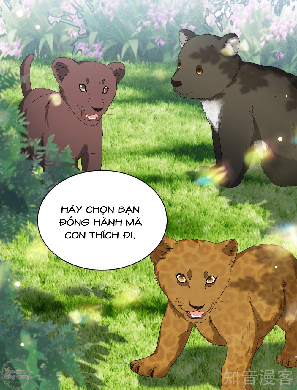 Cô ấy đến rồi, xin hãy nằm xuống! Chapter 333 - 14