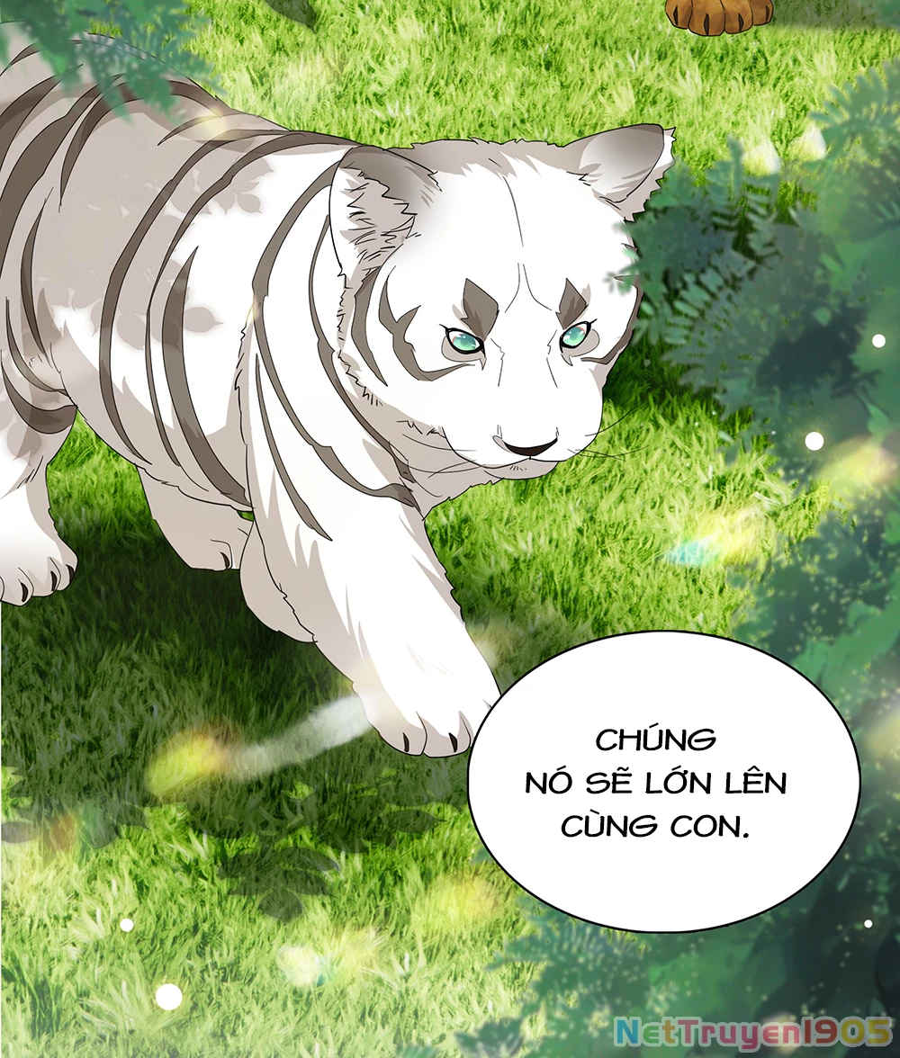 Cô ấy đến rồi, xin hãy nằm xuống! Chapter 333 - 15