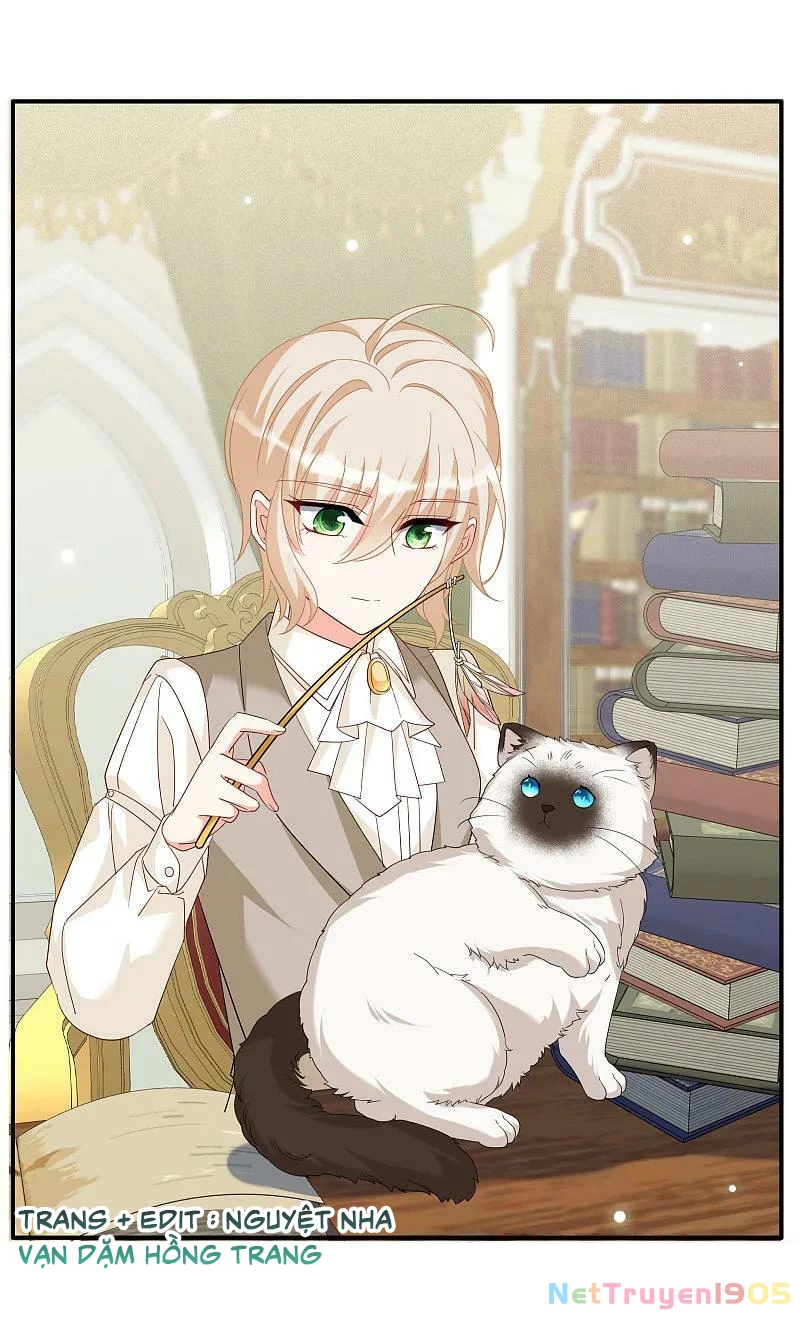 Cô ấy đến rồi, xin hãy nằm xuống! Chapter 335 - 7