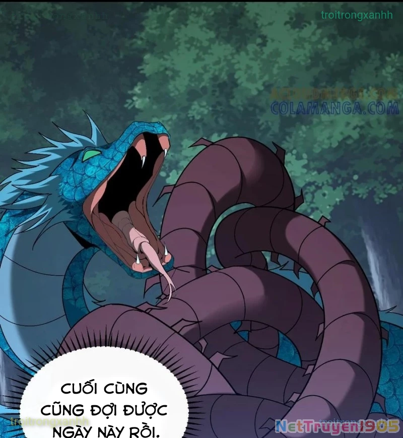 Ngày Tôi Sinh Ra, Bách Quỷ Dạ Hành, Tuyết Thi Hộ Đạo Chapter 798 - 22