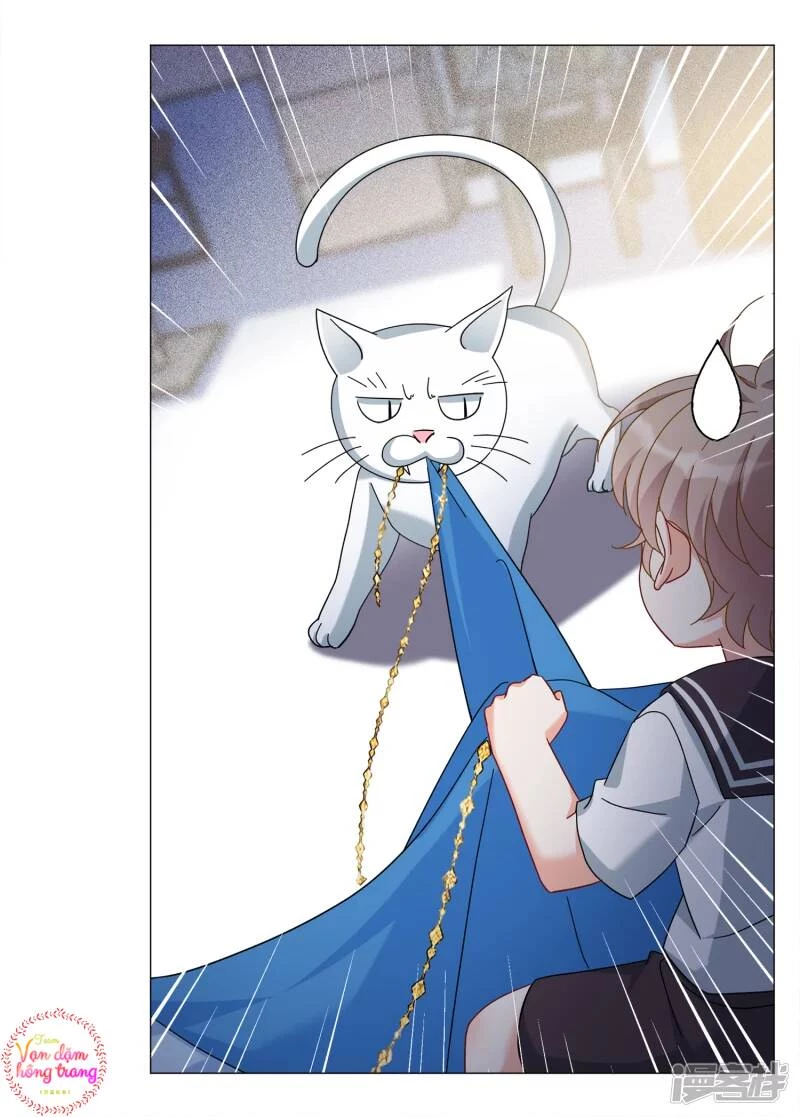 Cô ấy đến rồi, xin hãy nằm xuống! Chapter 231 - 20
