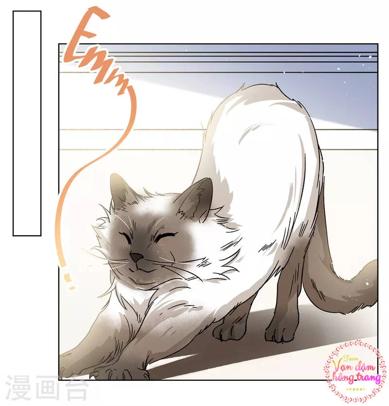 Cô ấy đến rồi, xin hãy nằm xuống! Chapter 235 - 3