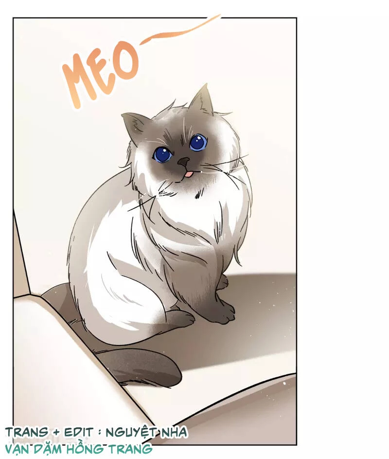 Cô ấy đến rồi, xin hãy nằm xuống! Chapter 235 - 4