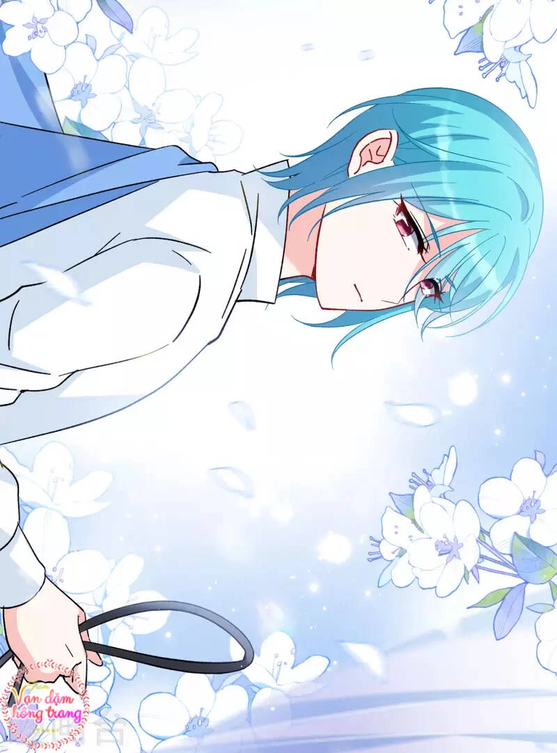 Cô ấy đến rồi, xin hãy nằm xuống! Chapter 240 - 28