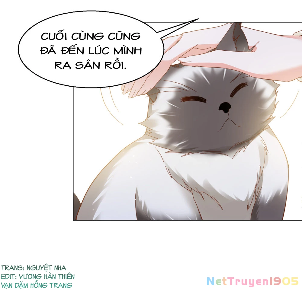 Cô ấy đến rồi, xin hãy nằm xuống! Chapter 322 - 27