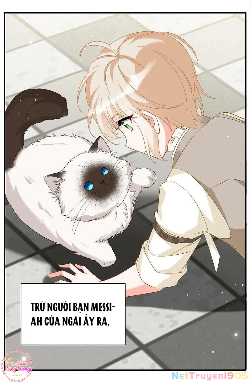 Cô ấy đến rồi, xin hãy nằm xuống! Chapter 336 - 24