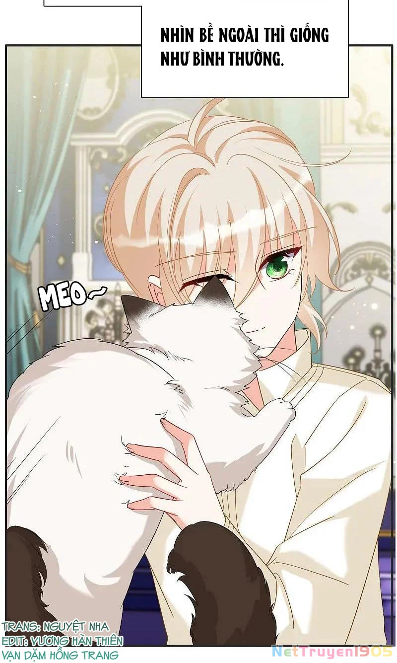 Cô ấy đến rồi, xin hãy nằm xuống! Chapter 336 - 40