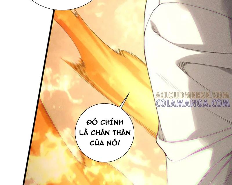 Thảm Họa Tử Linh Sư Chapter 205 - 49
