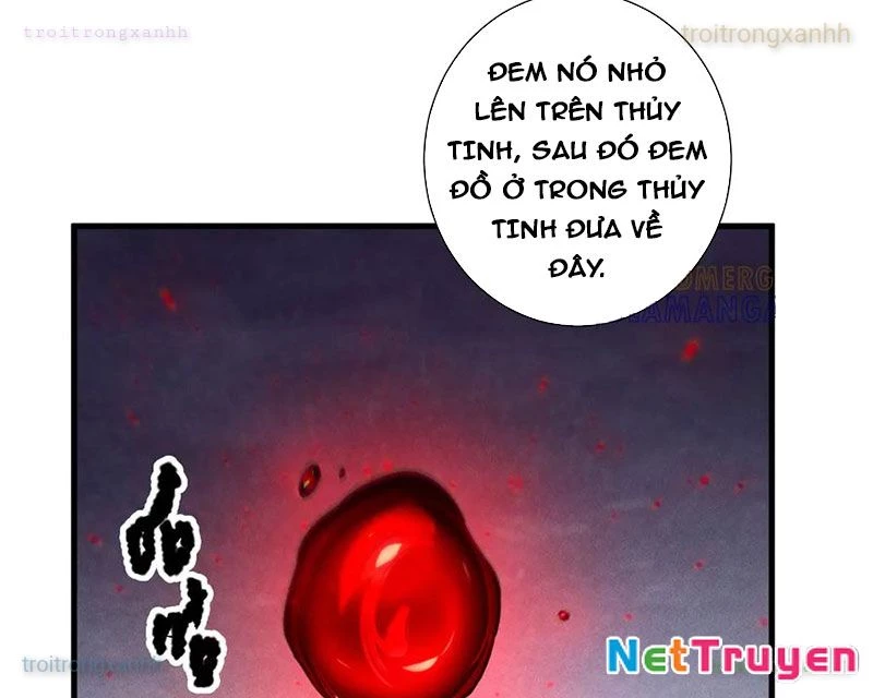 Thảm Họa Tử Linh Sư Chapter 205 - 111