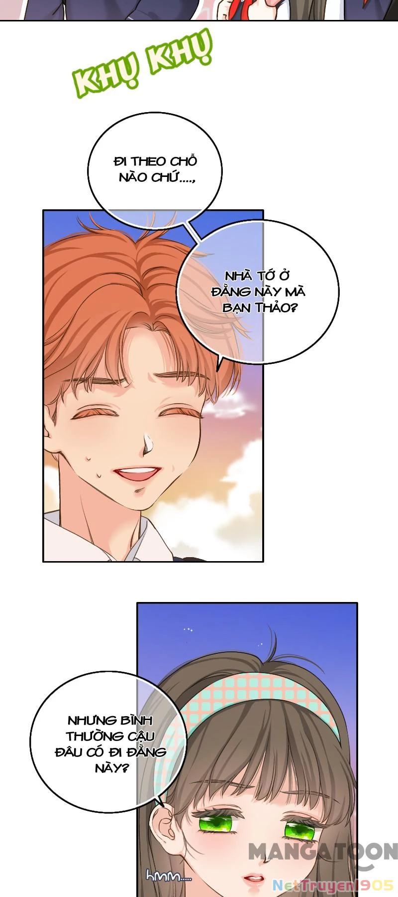 Cam Thảo Chapter 11 - 24