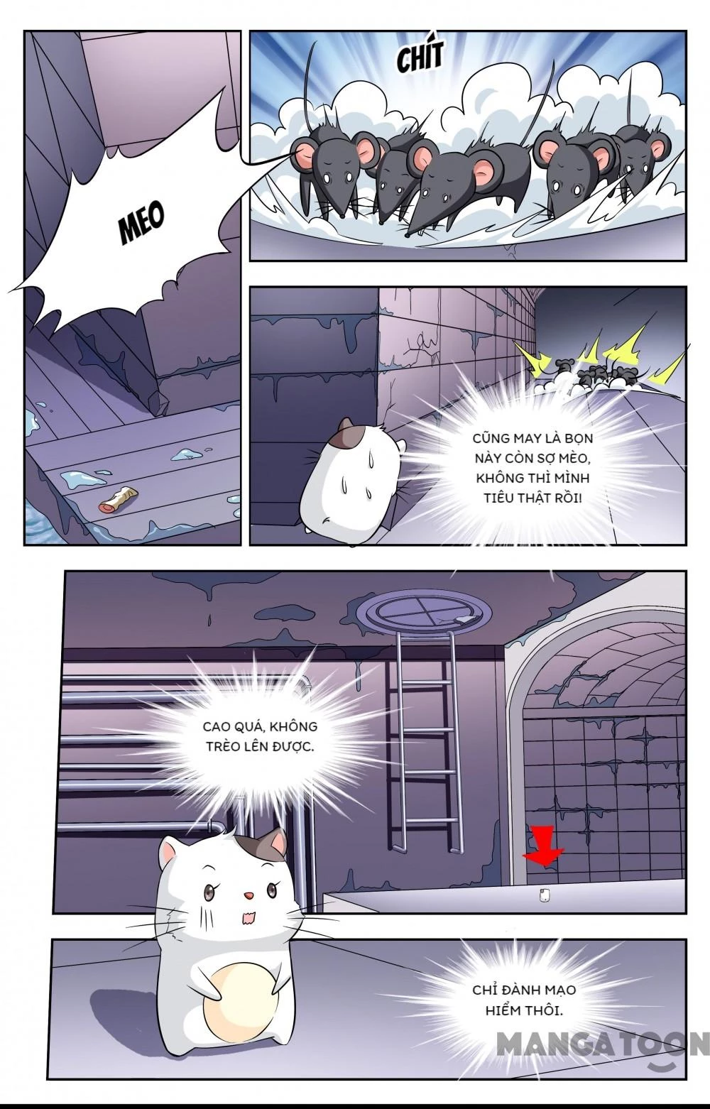 Lời Nguyền Biến Hình Chapter 113 - 5