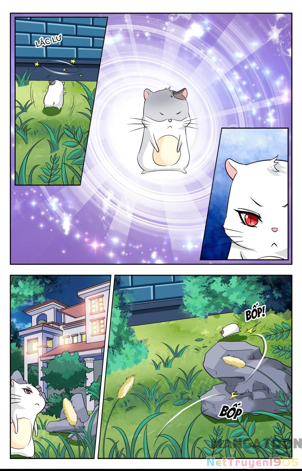 Lời Nguyền Biến Hình Chapter 115 - 6