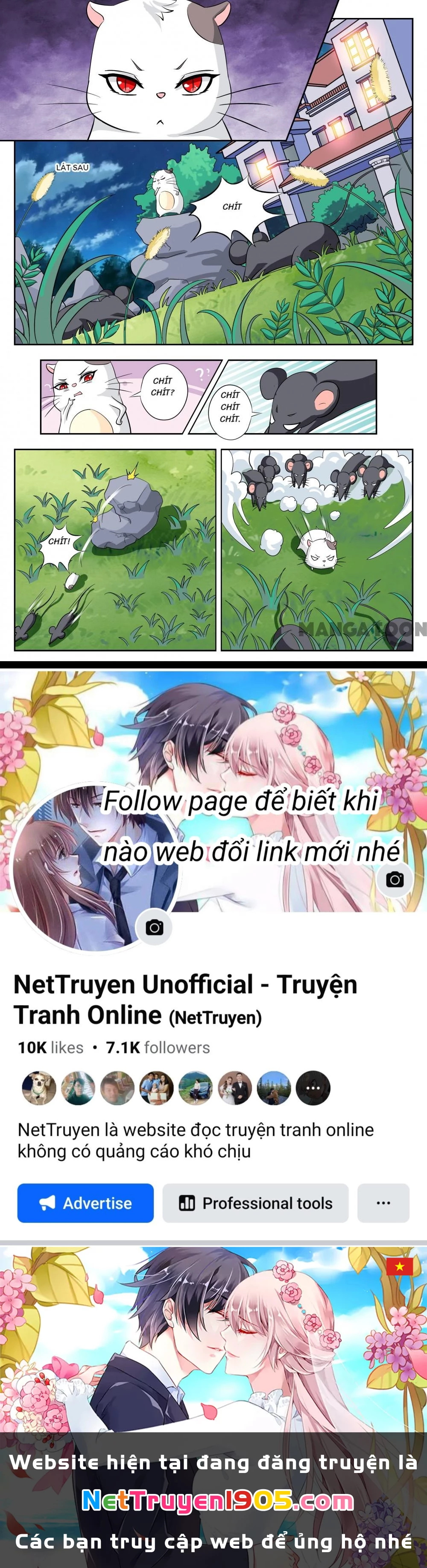 Lời Nguyền Biến Hình Chapter 115 - 8