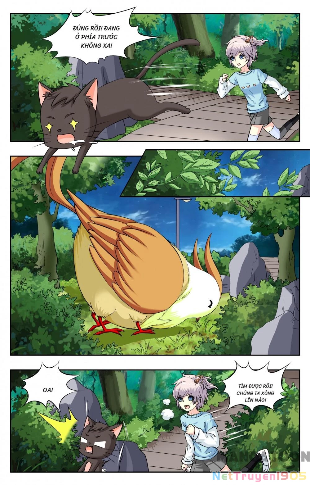 Lời Nguyền Biến Hình Chapter 223 - 5